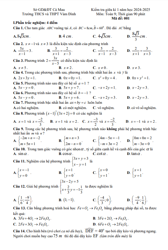 Đề giữa kì 1 Toán 9 năm 2024 – 2025 trường THCS&THPT Vàm Đình – Cà Mau