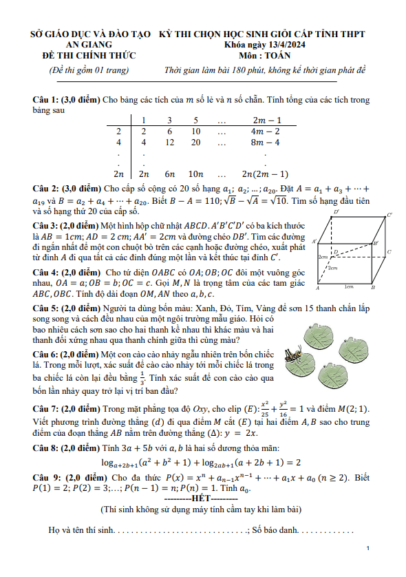 Đề học sinh giỏi cấp tỉnh Toán THPT năm 2023 – 2024 sở GD&ĐT An Giang